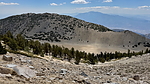 recent photo