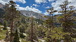 2025-08-30 :1: San Gorgonio via South Fork :: chumley