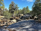 photo thumbnail #1
