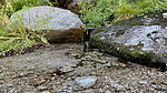 photo thumbnail #9