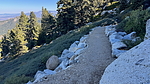 photo of comment