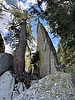 photo of comment