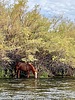 photo thumbnail #14