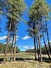 photo thumbnail #15