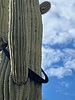 photo of comment