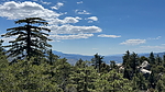 photo of comment