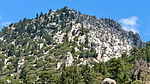 recent photo