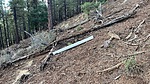 photo thumbnail #3