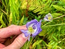 photo thumbnail #13