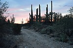 photo thumbnail #11