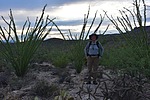 photo thumbnail #8