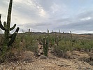 photo thumbnail #4