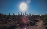 photo thumbnail #1