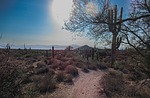 photo thumbnail #2