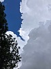 photo thumbnail #15