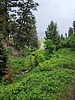 photo thumbnail #13