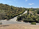 photo of comment