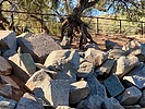 2025-09-08 :: Lower Salt River - Waterusers to PhonD :: DesertNymph