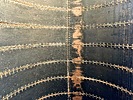 photo thumbnail #13