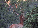photo thumbnail #5