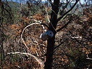 photo thumbnail #11