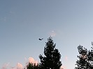 photo thumbnail #7