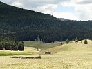photo of comment