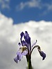 2025-06-05 :3: Valles Caldera NP :: outdoor_lover
