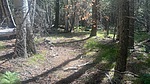 photo thumbnail #6