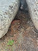 photo of comment