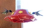 photo thumbnail #2