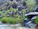 2025-06-07 :3: Taos Box :: outdoor_lover