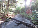 photo thumbnail #1