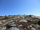 photo thumbnail #8