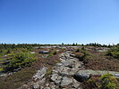 photo thumbnail #9