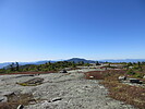 recent photo