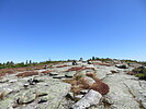 photo thumbnail #14
