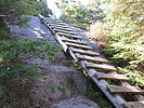 photo thumbnail #15
