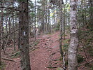 photo thumbnail #8