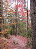 photo thumbnail #12