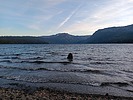 photo thumbnail #5