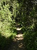 photo thumbnail #12