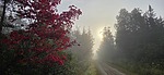 photo thumbnail #14