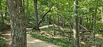 photo thumbnail #3