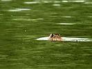 2025-06-12 :3: Fenton Lake State Park :: outdoor_lover