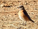 2025-06-12 :3: Fenton Lake State Park :: outdoor_lover