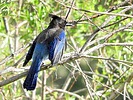 2025-06-12 :3: Fenton Lake State Park :: outdoor_lover