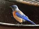 2025-06-12 :3: Fenton Lake State Park :: outdoor_lover