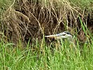 2025-06-12 :3: Fenton Lake State Park :: outdoor_lover