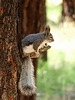 2025-06-13 :3: Jemez Falls :: outdoor_lover